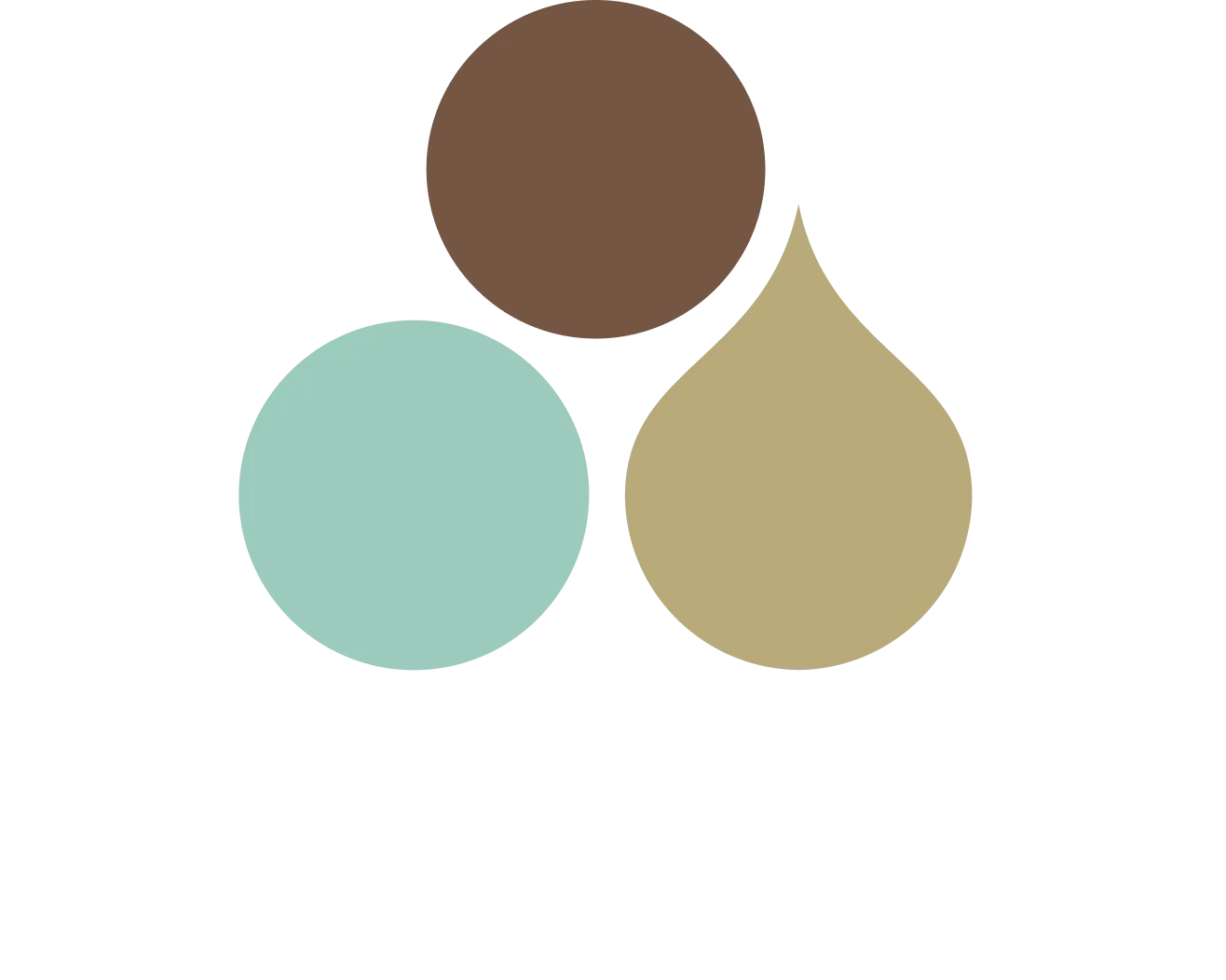 Coutume Café logo