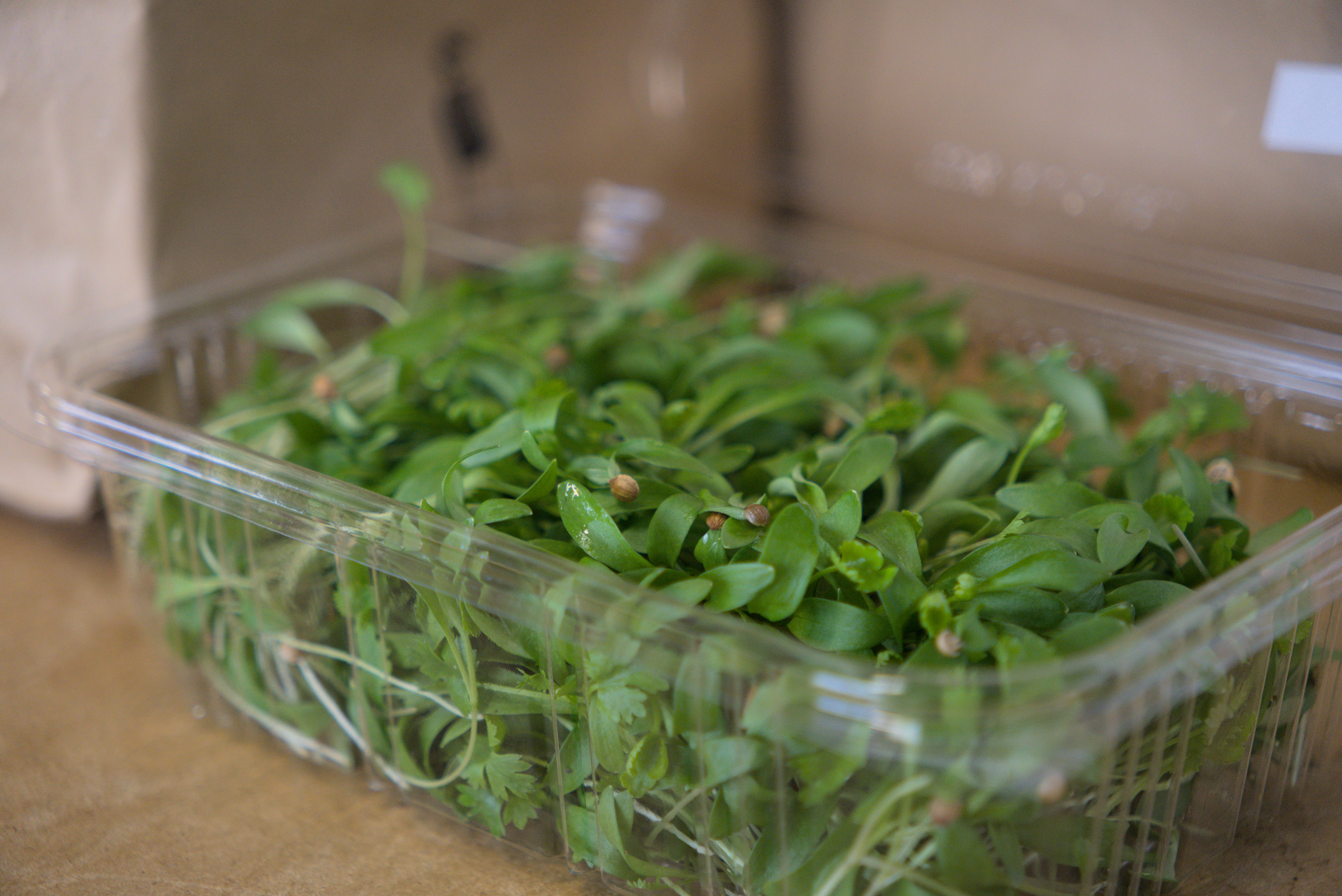 Une petite barquette de jeune pousse